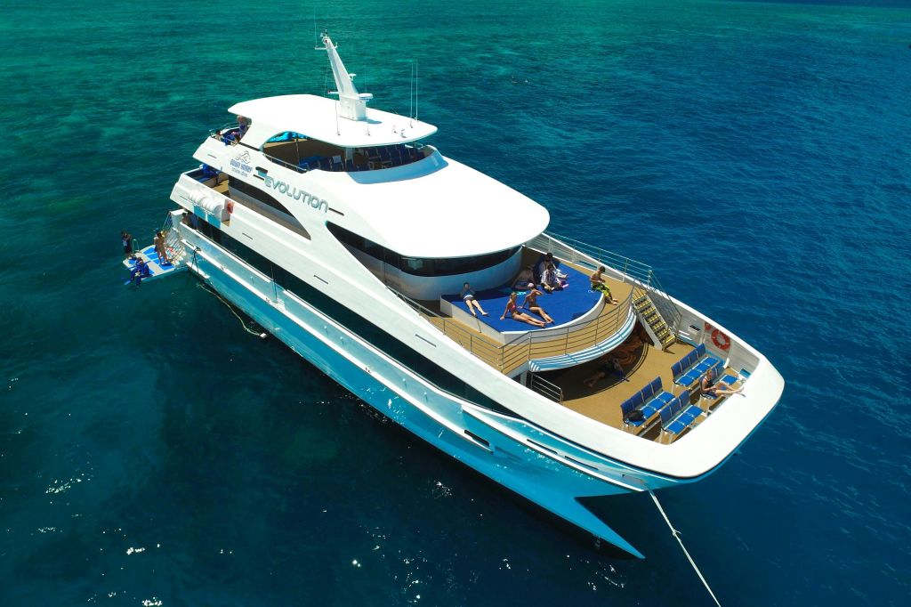 아우터 리프의 진화