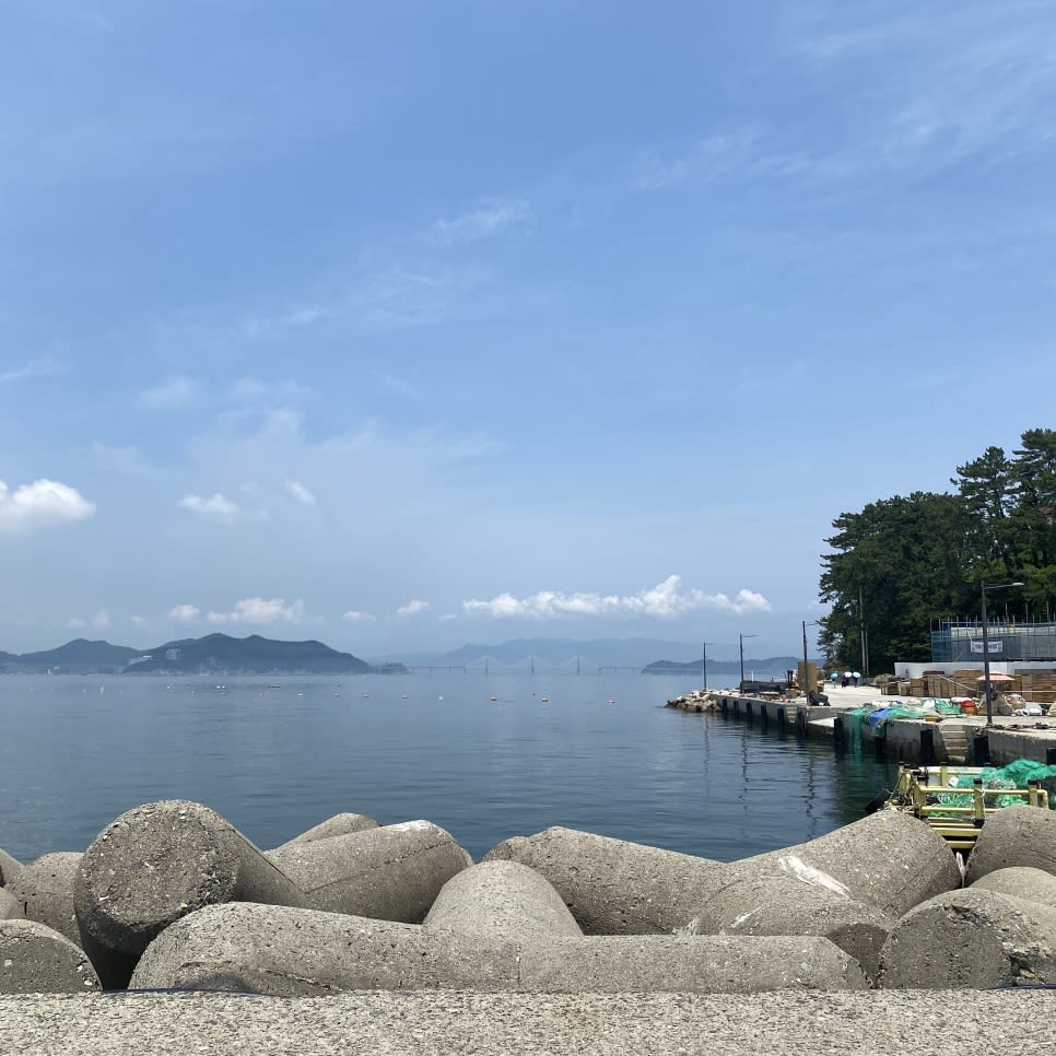 이수도