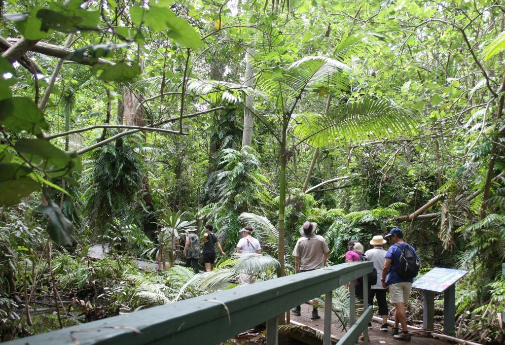 한 무리의 사람들이 울창한 초목과 키 큰 나무가 우거진 나무 길을 따라 울창하고 푸른 열대 숲을 거닐고 있습니다.