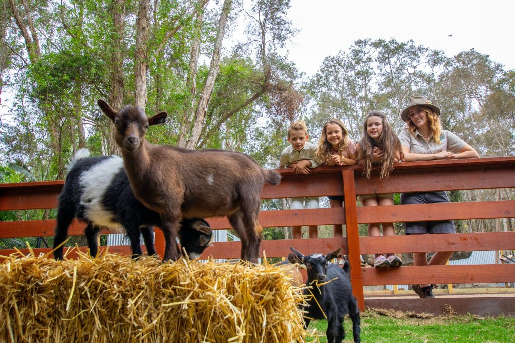 아웃백 스프링스 농장 친구들