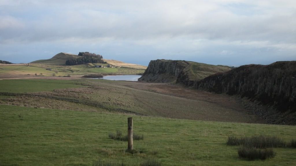 전경에 나무 기둥, 바위 절벽, 연못, 흐린 하늘을 배경으로 잔디가 우거진 풍경.
