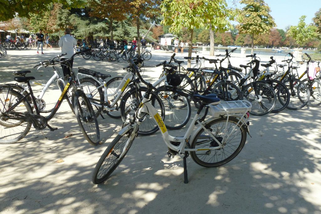 야외 공간의 나무 아래에 여러 대의 자전거가 주차되어 있으며, 배경에는 몇 명의 사람들이 보입니다.