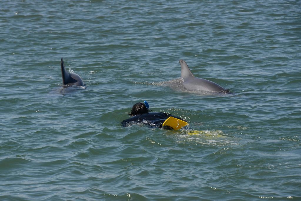 해병대 친구들과 직접 만나보세요.