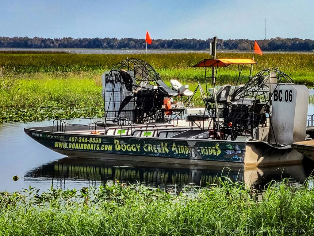높은 잔디와 기둥에 주황색 깃발이 있는 습지로 둘러싸인 물에 정박한 "Boggy Creek Airboat Rides" 라는 제목의 에어보트.