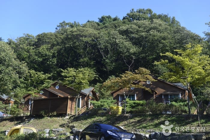 용인 자연 휴양림