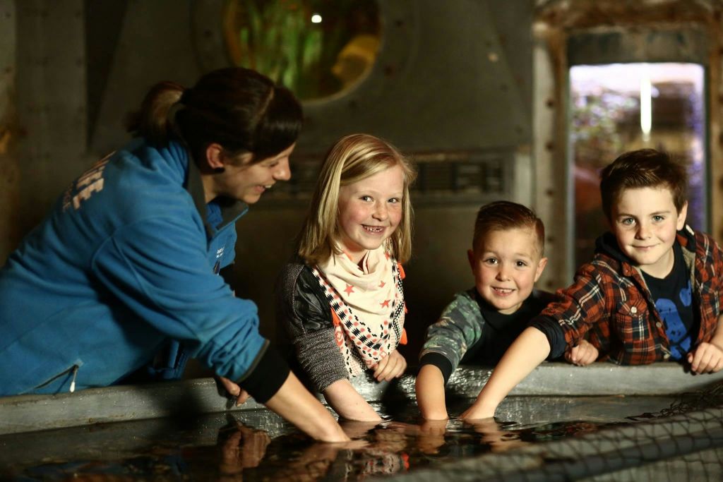 세 명의 어린이와 성인이 실내 시설의 수조에서 수중 동물을 만집니다. 아이들이 웃고 있습니다.