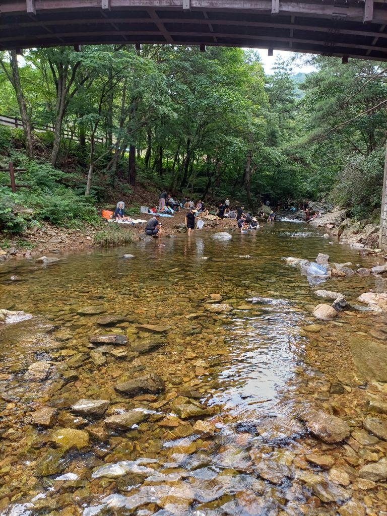 국립 용현 자연 휴양림