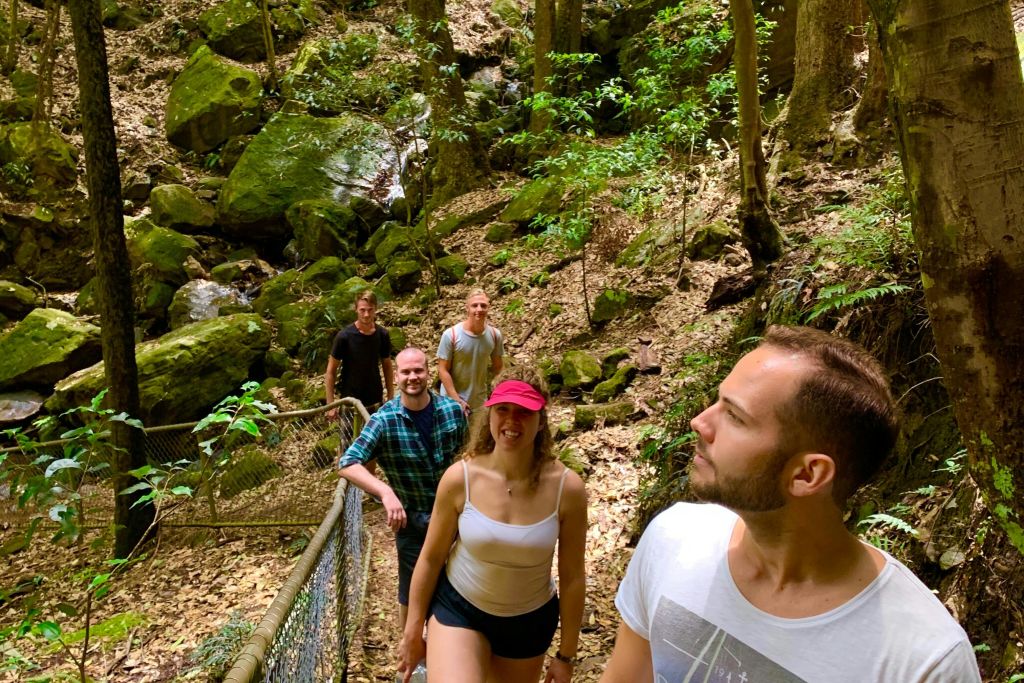 부시 워크 (선택 사항) 에 참여한 일행