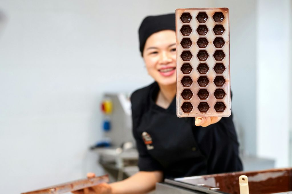 유명한 벨기에 프랄린 생산 시연