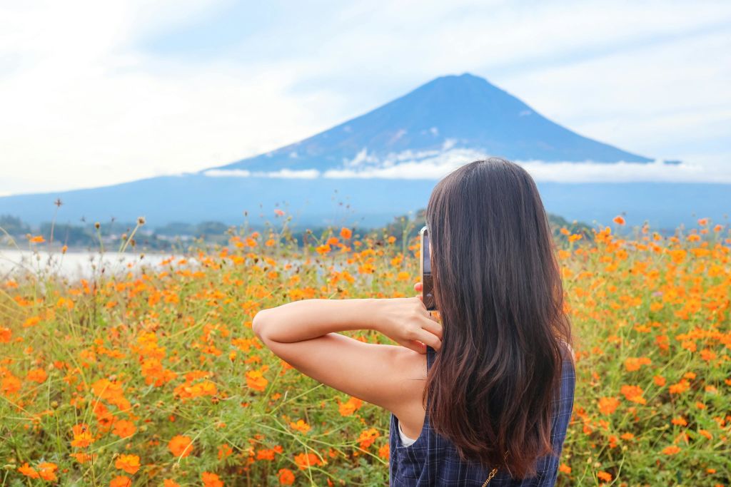 화창한 날 주황색 꽃밭 뒤에서 산을 배경으로 사진을 찍는 긴 머리를 한 사람.