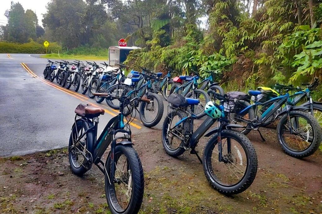 정차 표지판을 배경으로 울창하고 푸른 숲에 인접한 도로변에 주차된 여러 대의 자전거가 줄지어 있습니다.