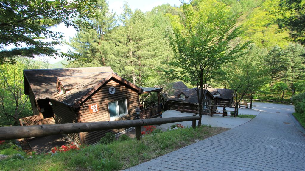 [가평] 강씨봉 자연 휴양림