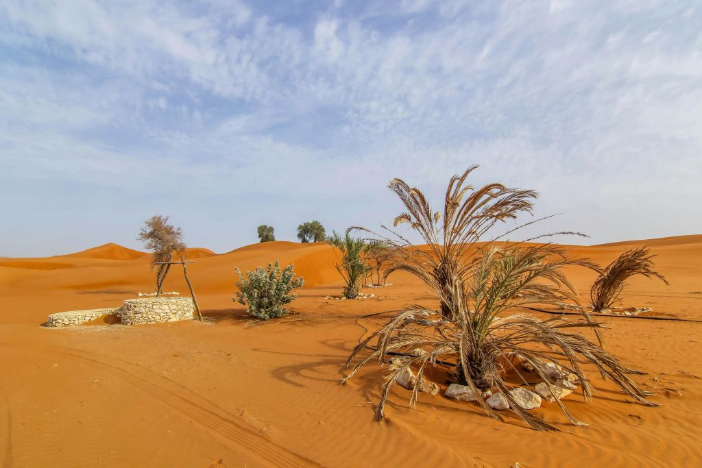 두바이 오리엔트 투어 - 아름다운 풍경과 하타 사막 사파리 (아침 식사 포함)