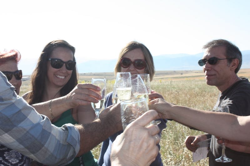 야외에서 샴페인 잔으로 건배하고, 웃으며 선글라스를 착용하는 사람들.