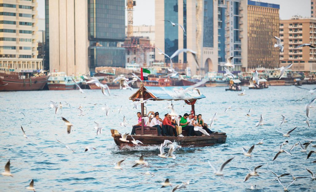 갈매기로 둘러싸인 바쁜 수로에서 작은 나무 보트를 타는 사람들, 도시 건물이 배경입니다.