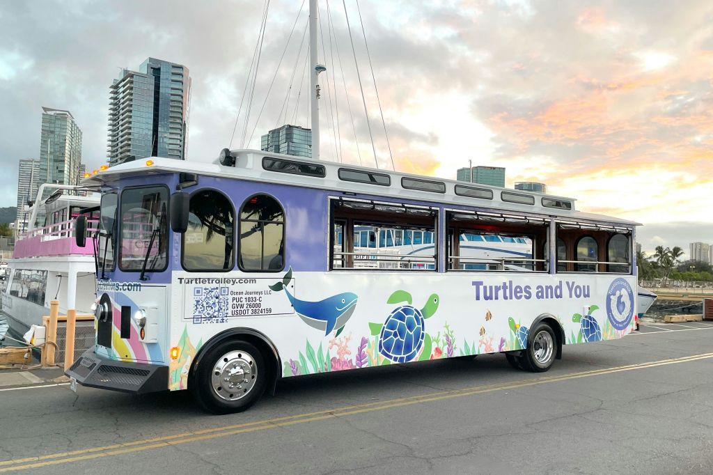 거북이 그래픽이 돋보이는 다채로운 투어 버스가 도로변에 주차되어 있으며, 높은 건물과 석양의 하늘을 배경으로 합니다.