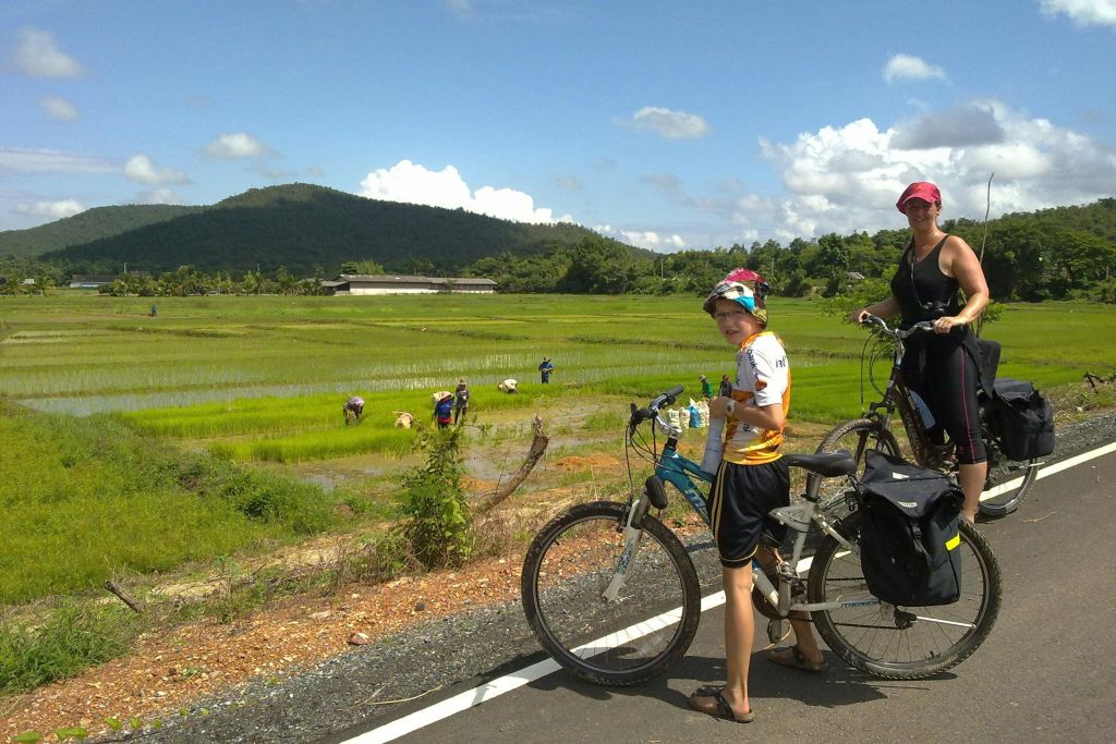 길을 따라 논이나 다른 작물