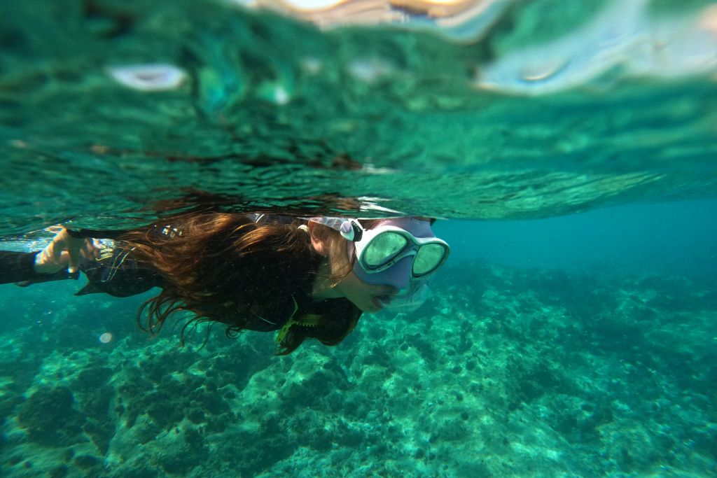 산호와 해저가 잘 보이는 수중에서 스노클링을 하고 마스크를 쓰고 스노클링을 하는 사람.