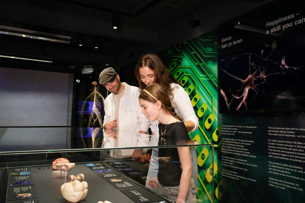 어린이를 포함한 세 사람이 다양한 물건이 들어 있는 박물관 진열 케이스를 살펴본다.