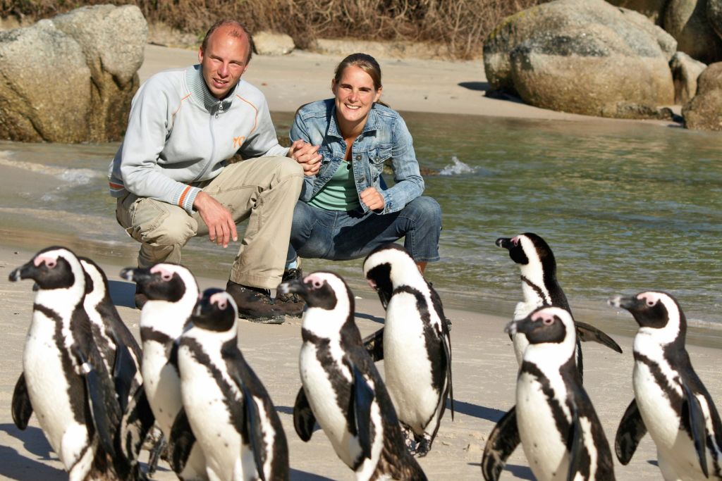 볼더스비치 펭귄