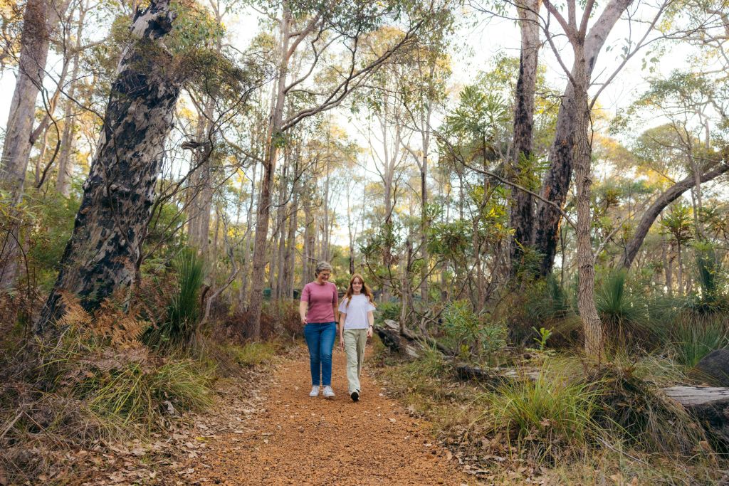 맹금류를 만나기 전과 후, 숲속 보호구역을 둘러보며 산책을 즐겨보세요.