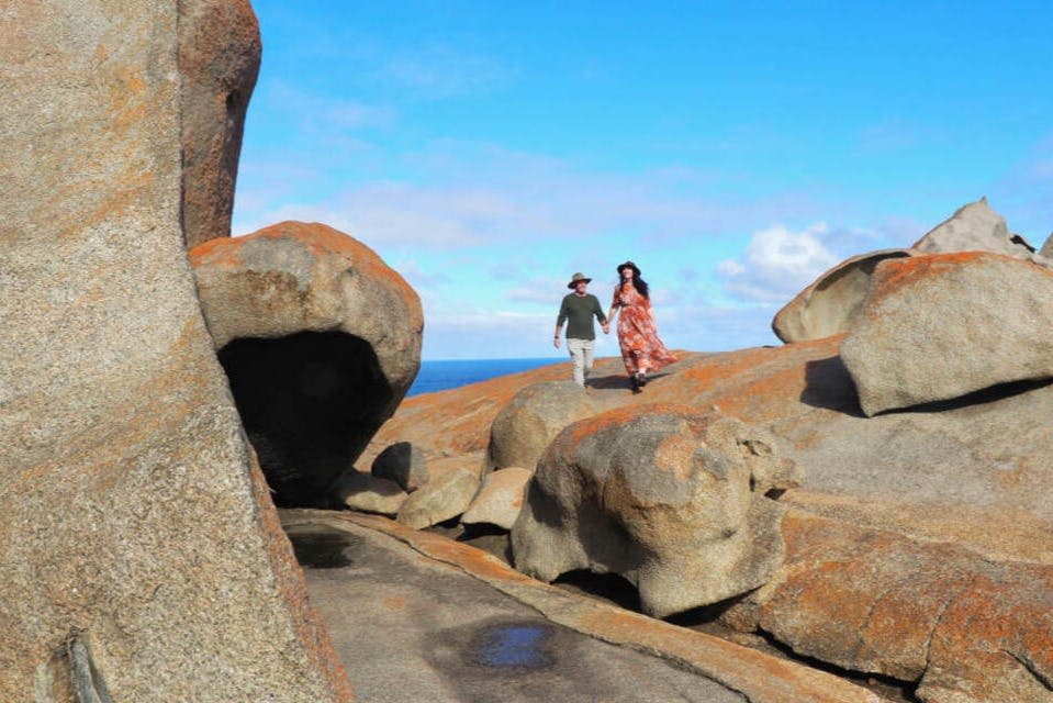 캥거루섬 일일 투어