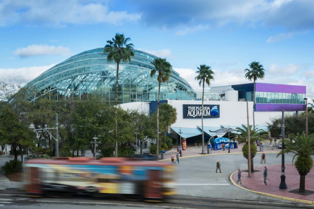 야자수로 둘러싸인 "플로리다 수족관" 이라는 이름의 유리 돔형 건물. 모션 블러 처리된 트램이 앞을 지나갑니다.