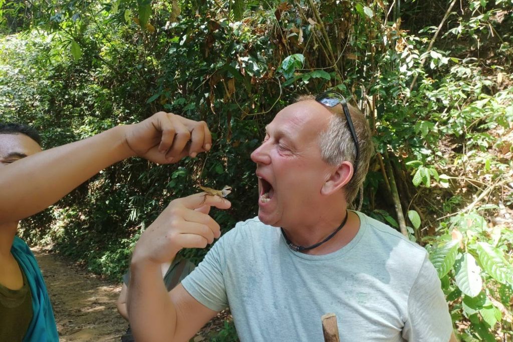 '카오속 정글 산책: 황무지의 비밀'