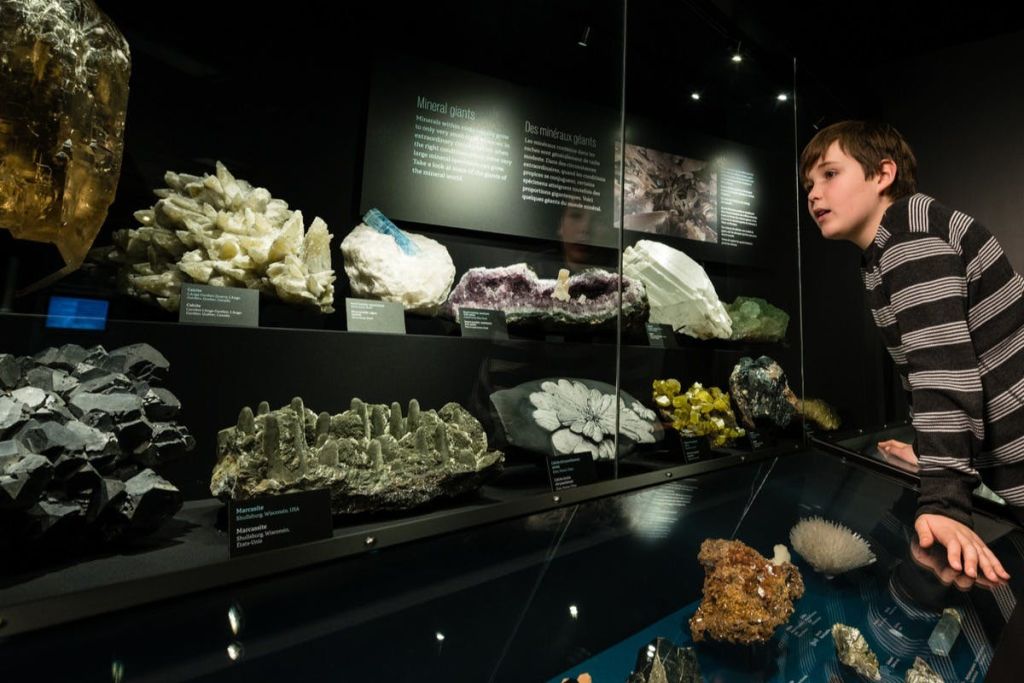 캐나다 자연 박물관