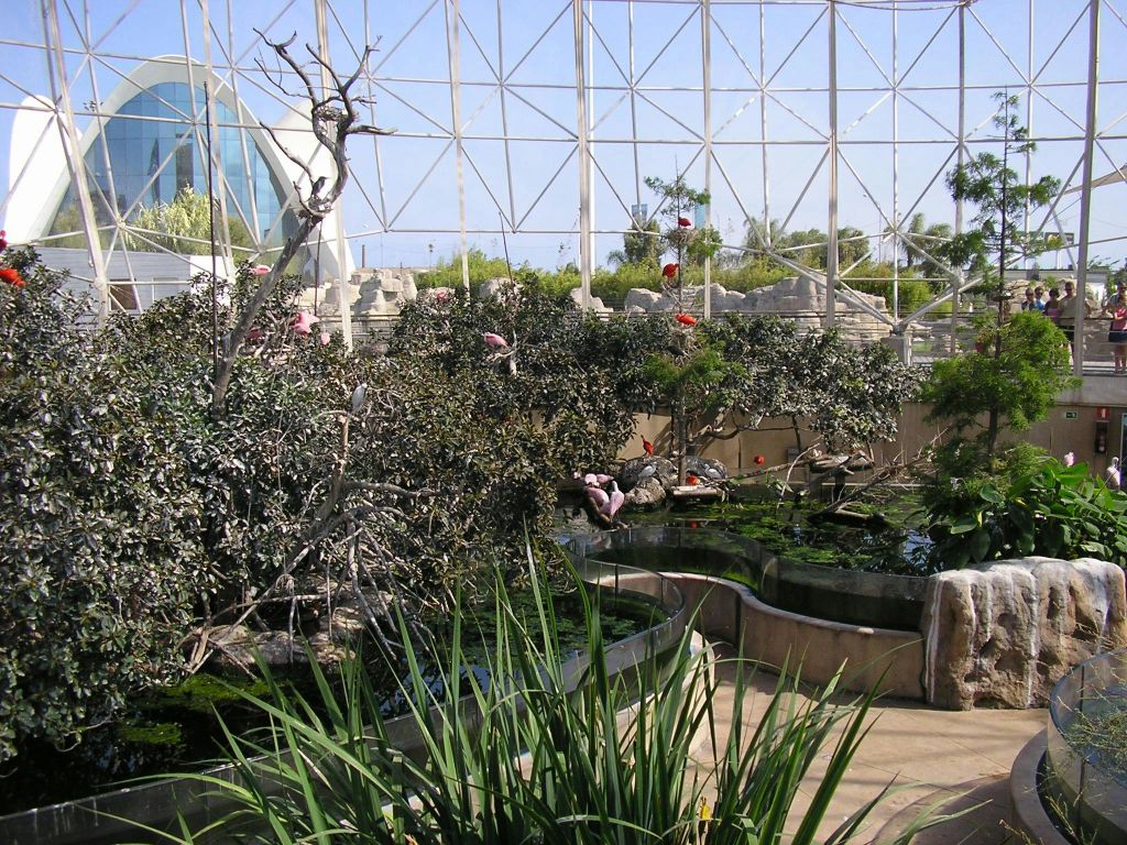 삼각형 디자인의 유리 구조로 둘러싸인 플라밍고, 물놀이 시설, 바위, 식물이 있는 실내 서식지입니다.