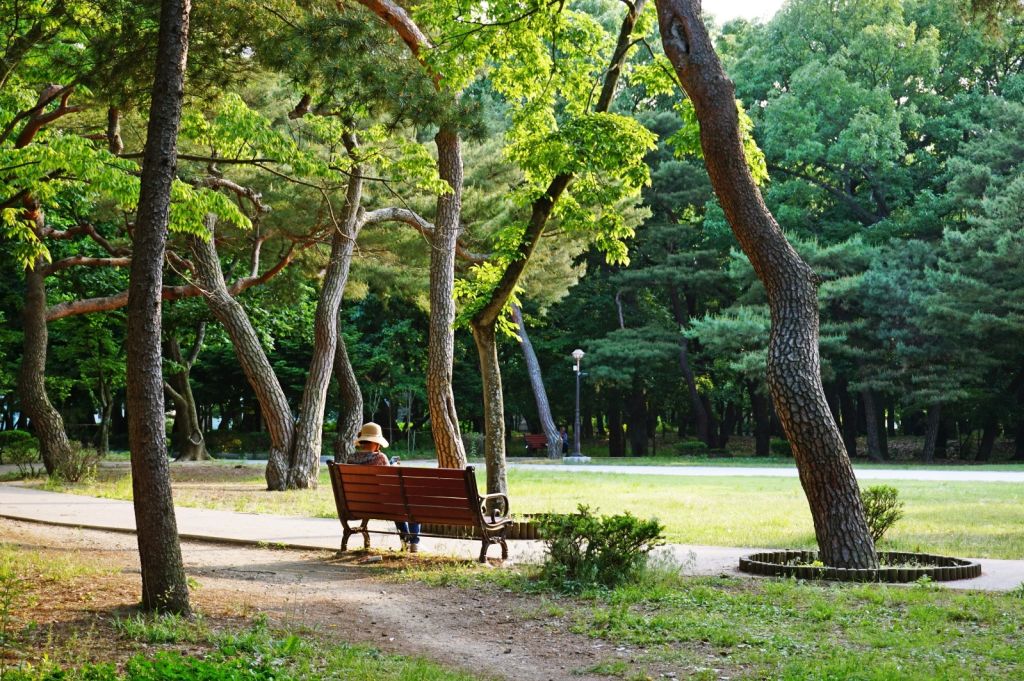 황성 공원