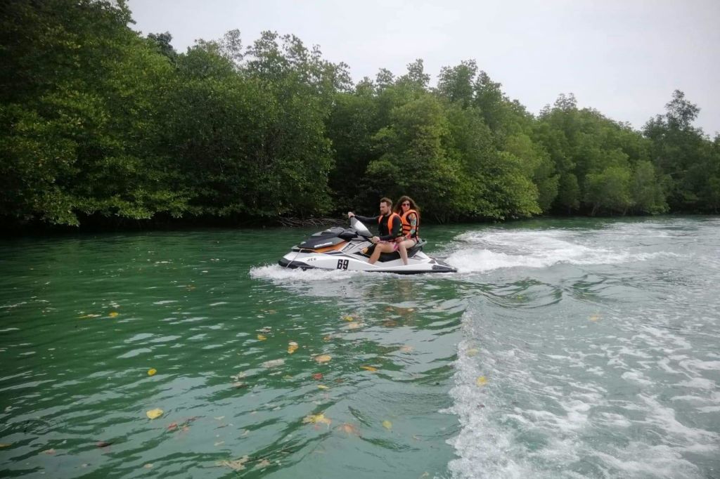 울창한 맹그로브 강의 매력에 흠뻑 빠져보세요.