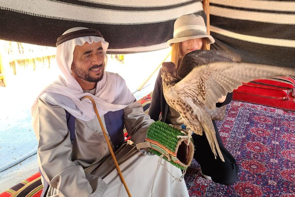 올드 두바이 팔콘