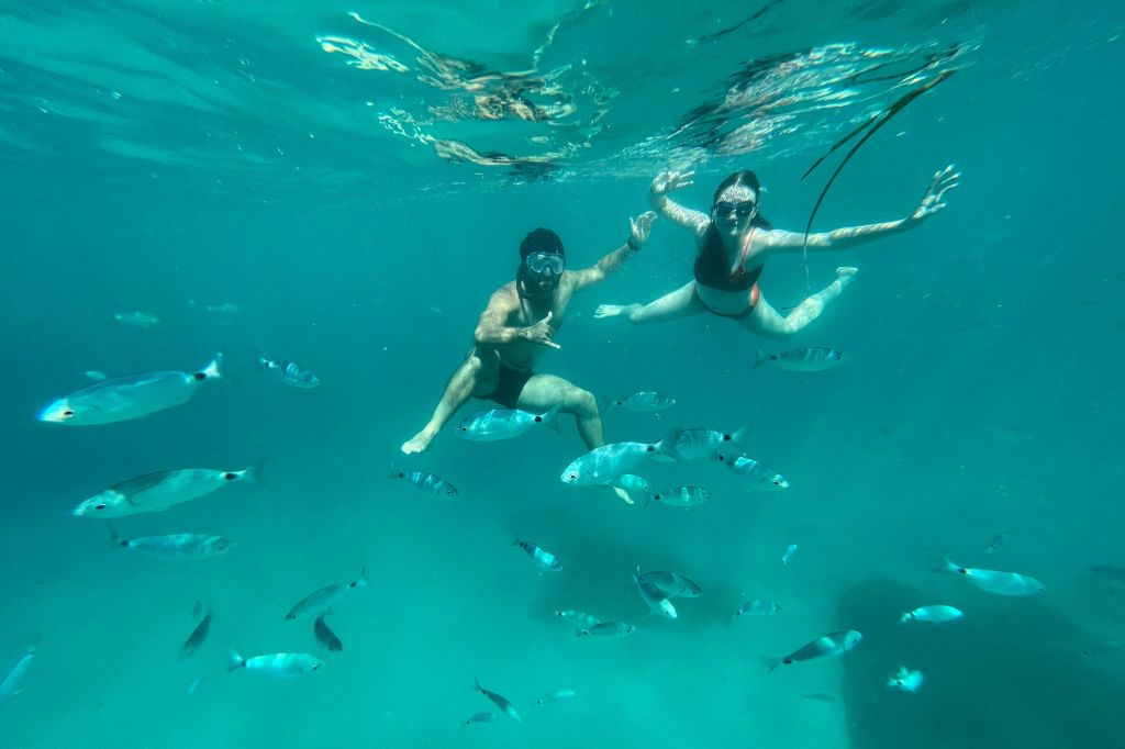 맑은 청록색 바다에서 물고기로 둘러싸인 두 명의 스노클러가 물속에서 수영하고 있습니다.