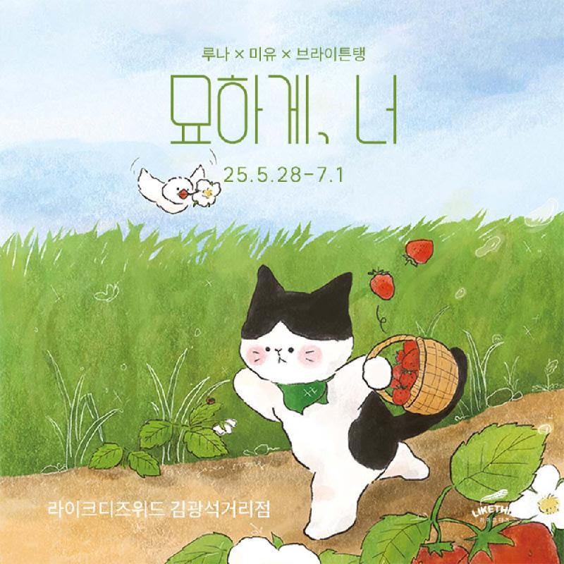 [대구] 라이크디즈위드 김광석거리점_루나×미유×브라이튼탱 기획전 <묘하게, 너>