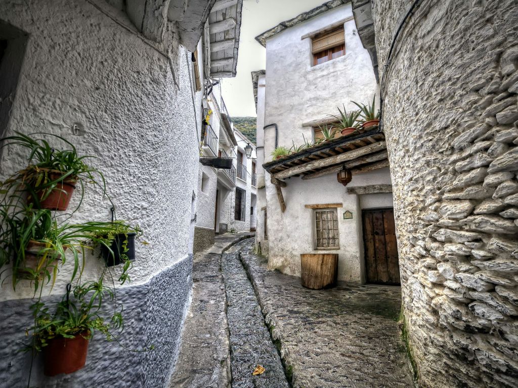 회칠한 건물, 화분, 소박한 발코니 아래 나무 문이 늘어선 좁은 자갈길.