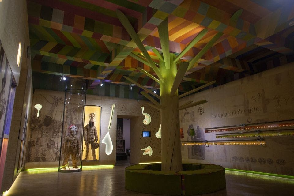 박물관 내부 전시