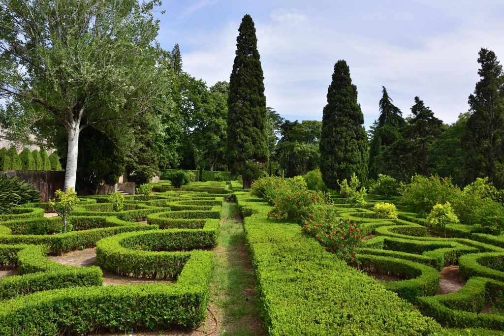 높고 좁은 나무와 맑은 하늘 아래 풍부한 녹지가 있는 조경된 정원에서 기하학적 울타리가 미로를 형성합니다.