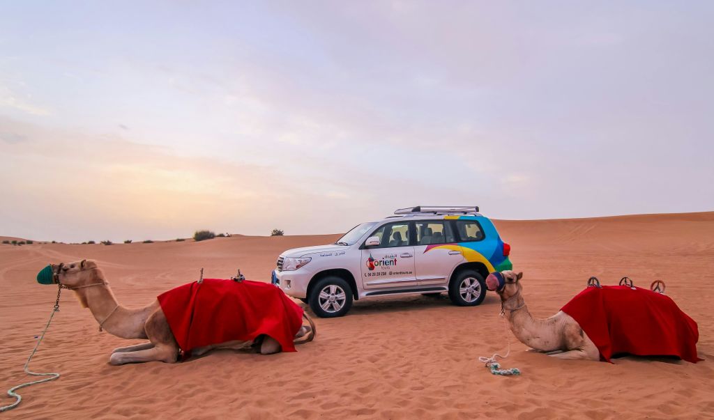화려한 색상의 흰색 SUV가 사막에 주차되어 있습니다. 그 옆에는 두 마리의 낙타가 앉아 있고, 한 마리는 빨간 담요를 깔고 서 있습니다.