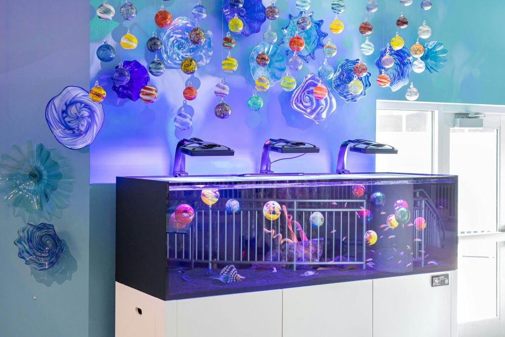 화려한 색상의 매달린 유리 구와 보라색 빛이 비추는 장식 수족관이 있는 추상 미술 설치물입니다.