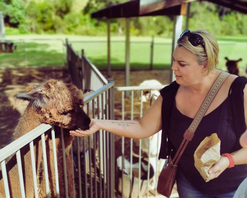 주황색과 노란색 줄무늬가 있는 열기구가 푸른 들판과 강 위에 떠 있으며, 나무와 먼 언덕을 배경으로 합니다.