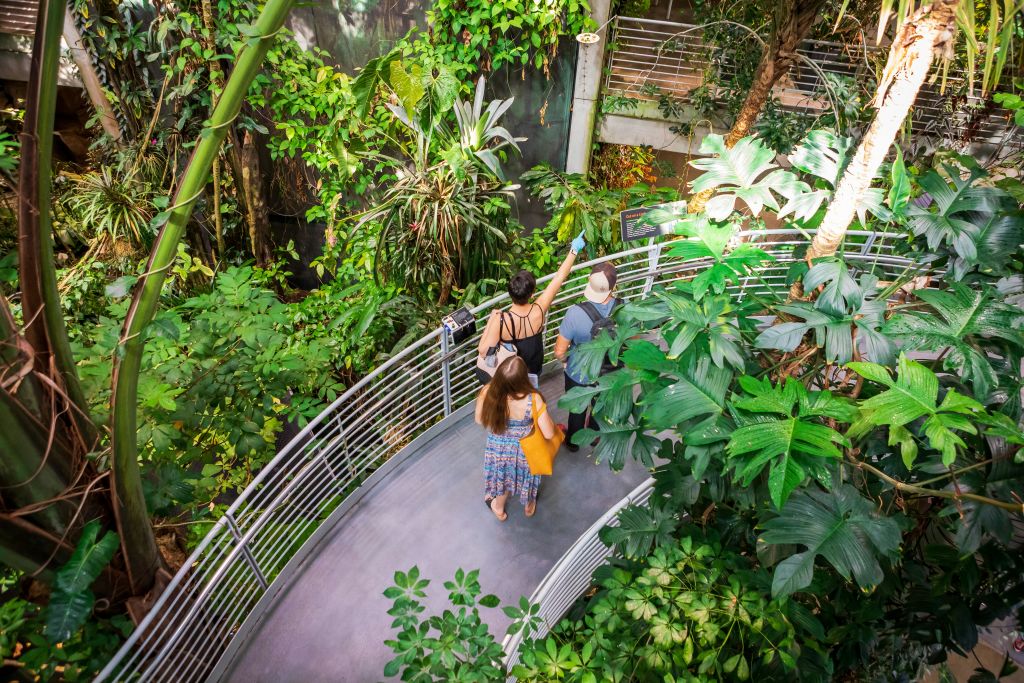 오셔 우림 (Osher Rainforest) 을 걷는 손님들.