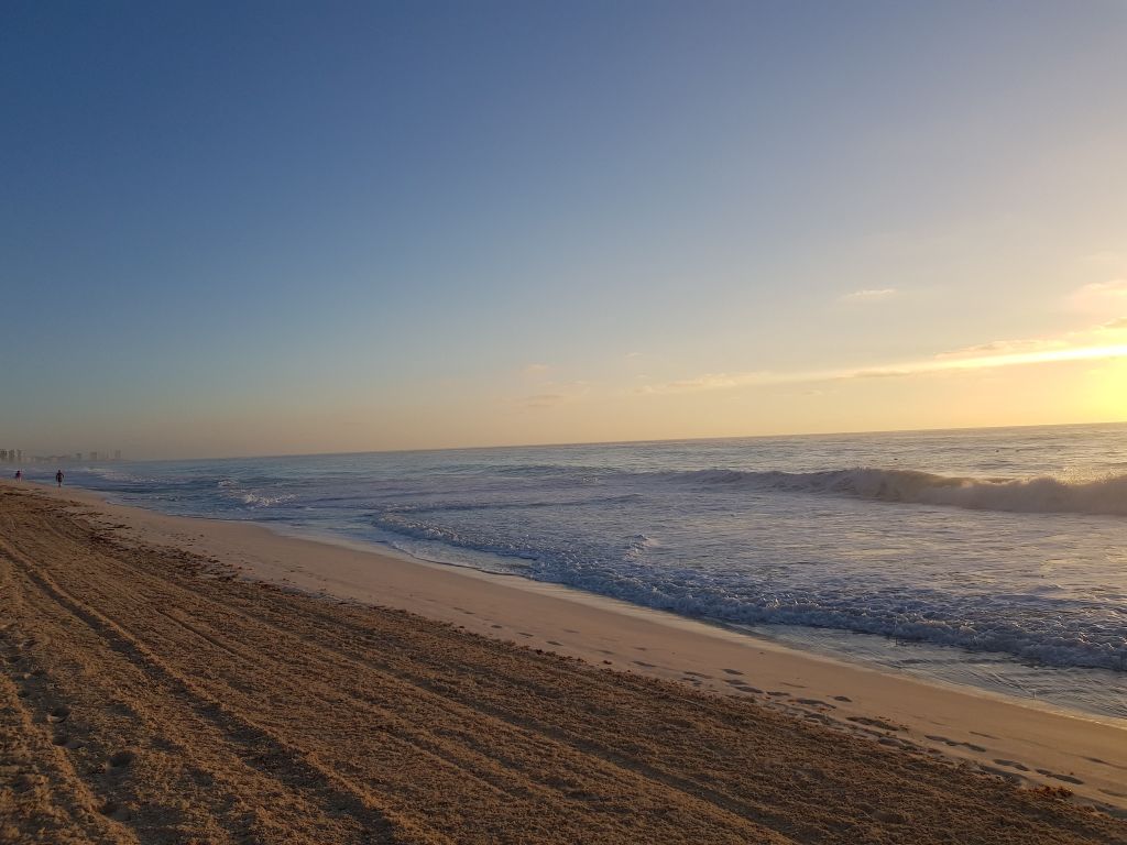 시크릿 더 바인 칸쿤