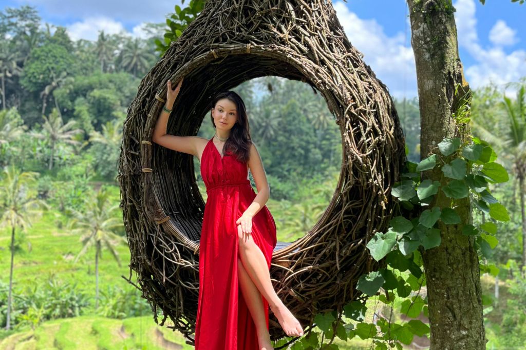 양쪽 다 꿀벌 둥지 사진