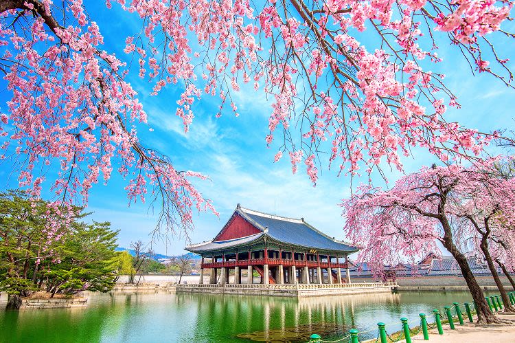 [Seoul] Gyeongbokgung Palace  Walking Tour