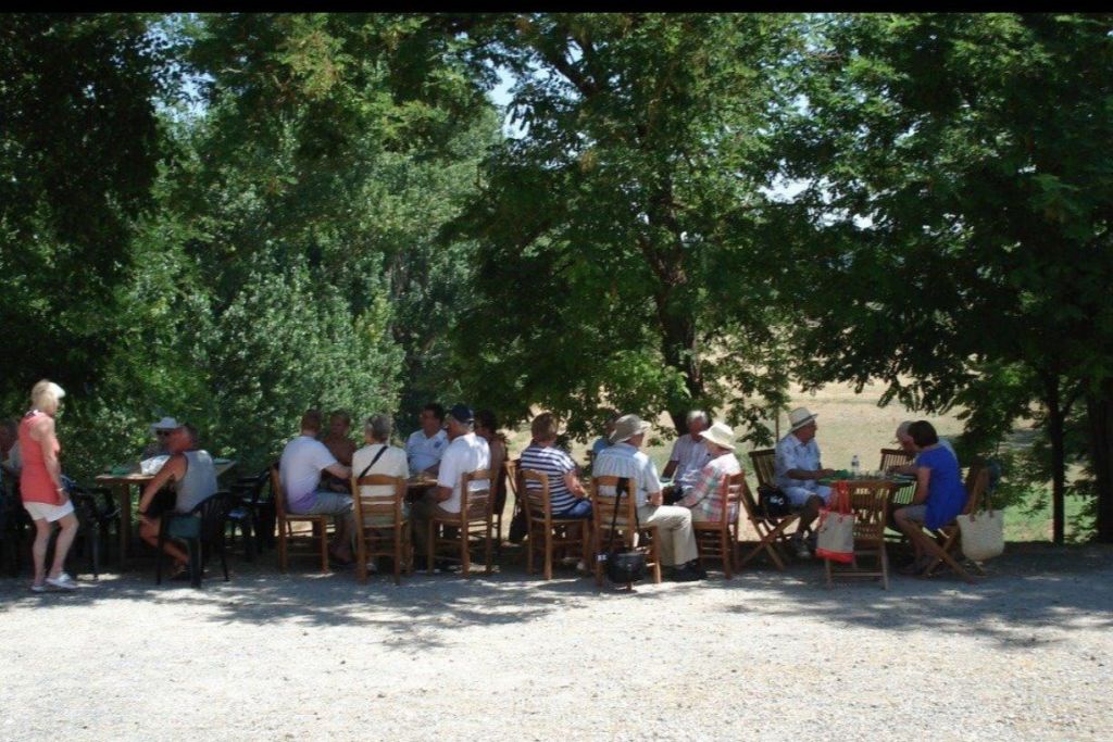 한 무리의 사람들이 야외의 커다란 나무 그늘 아래 원을 그리며 나무 의자에 앉아 있습니다.