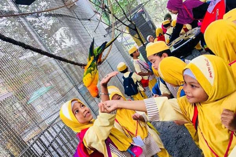 노란색 유니폼과 머리 스카프를 입은 어린이들이 야외 인클로저의 나뭇가지에 자리 잡은 새들에게 먹이를 주기 위해 미소를 짓고 손을 뻗습니다.