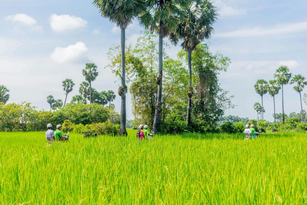 봉인되지 않은 마을 도로가 즐비한 시엠립의 숨은 명소로 떠나는 흥미진진한 여행을 떠나보세요.