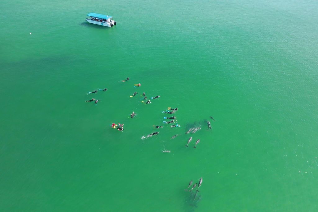 소그룹 어드벤처 - 돌고래 보장.