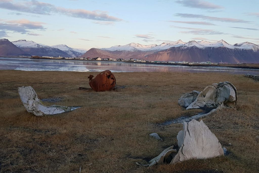 고래뼈와 회픈을 배경으로 한 사진 촬영